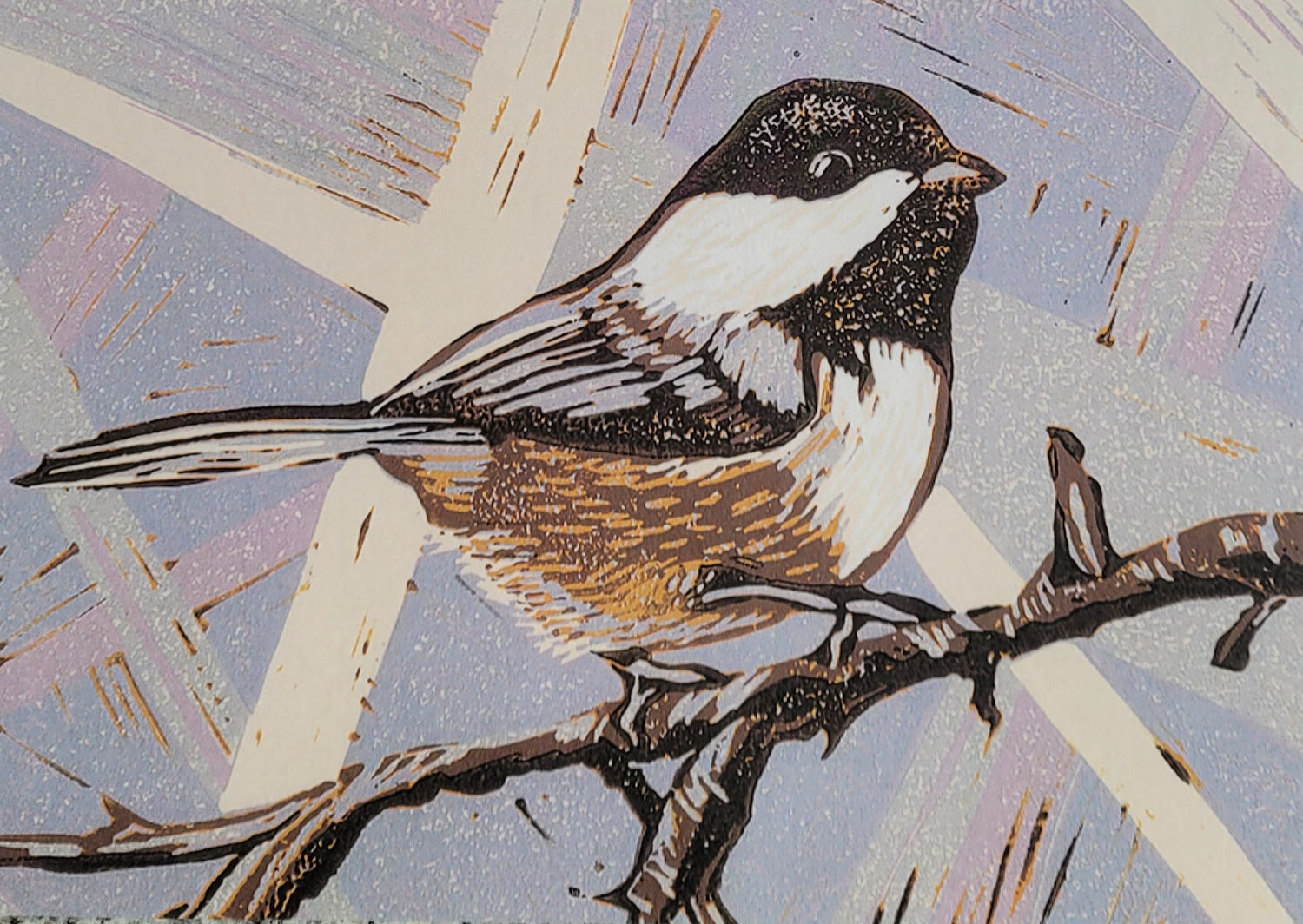 Kingfisher Art Card