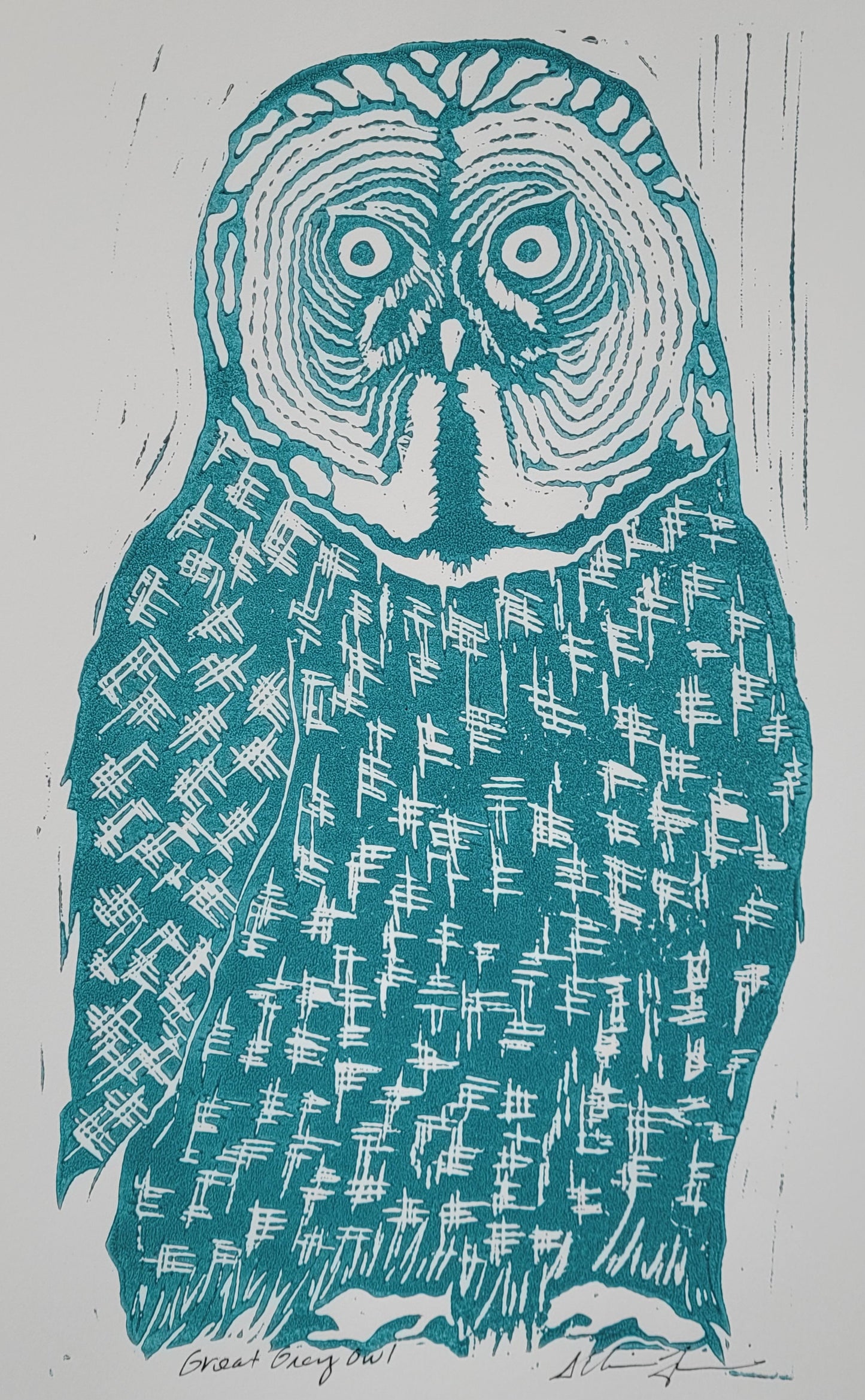 Great Grey Owl