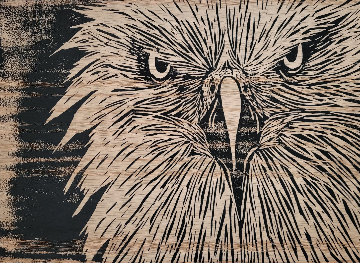 Bald Eagle