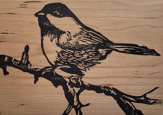 Black Capped Chickadee