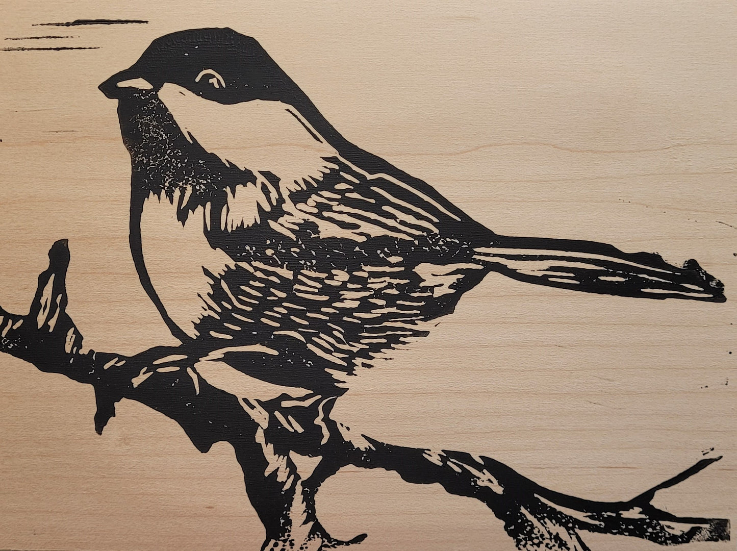 Black Capped Chickadee