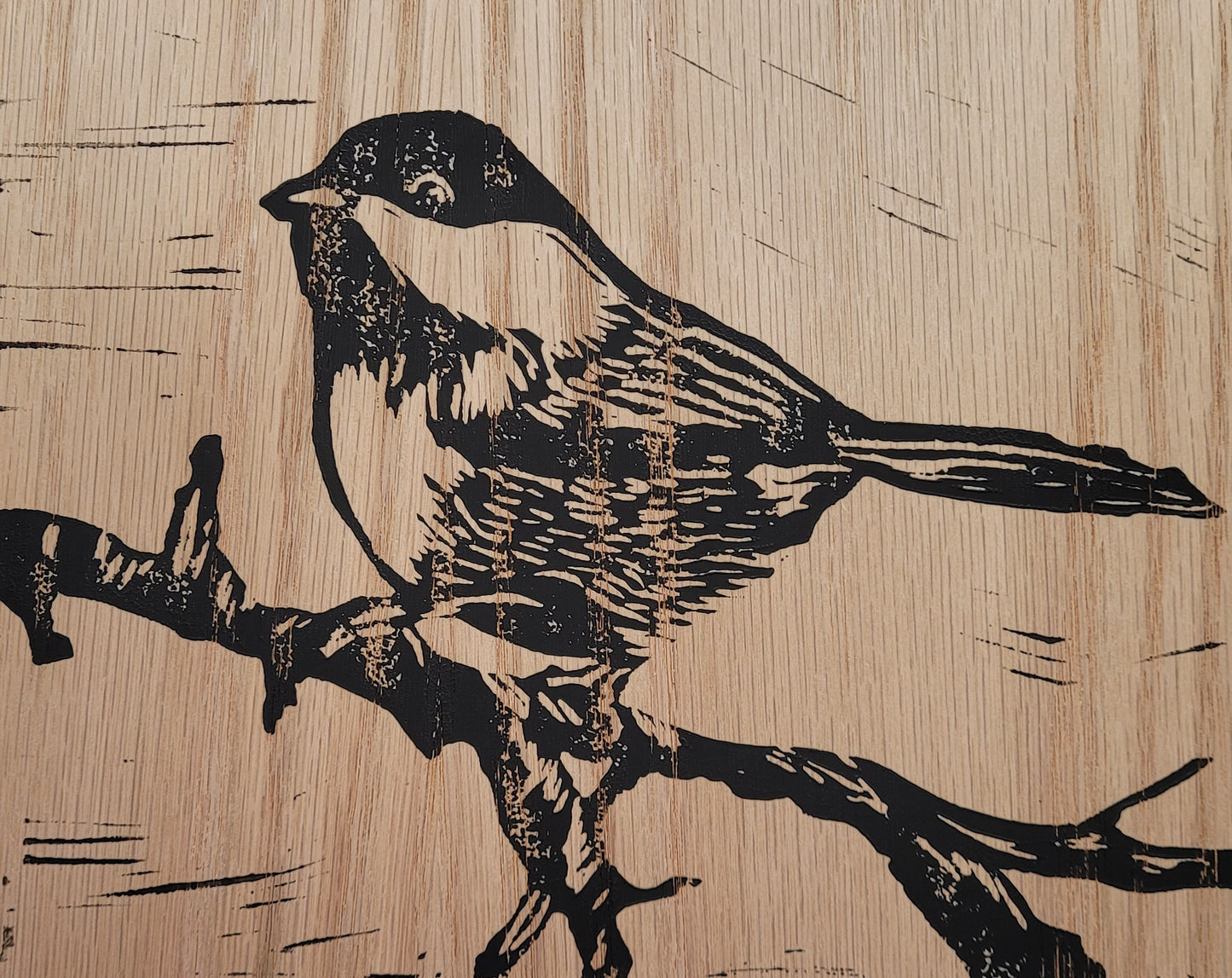 Black Capped Chickadee