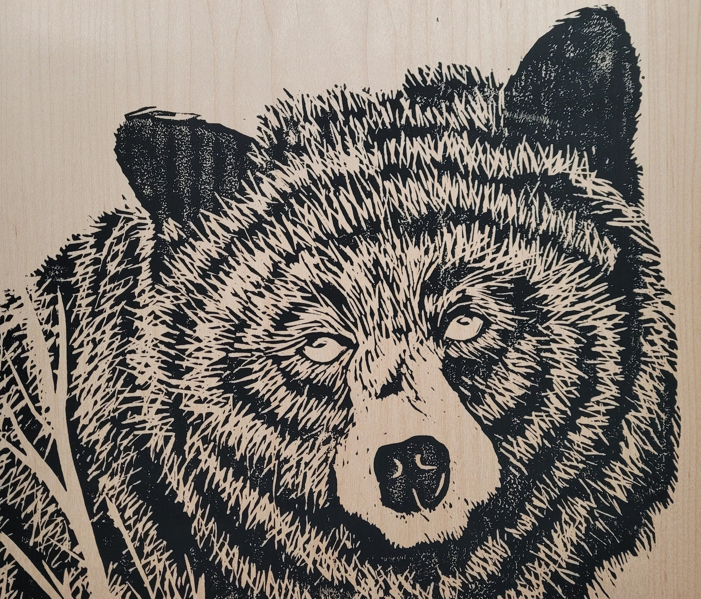 Black Bear