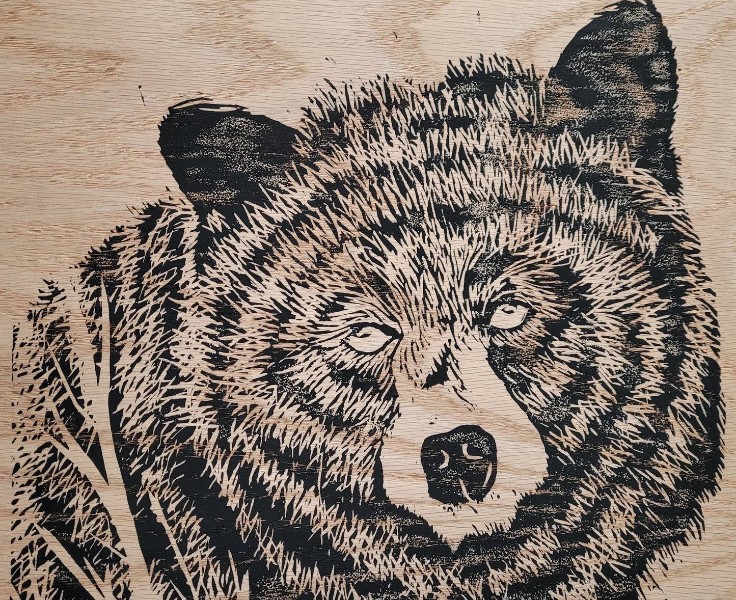 Black Bear