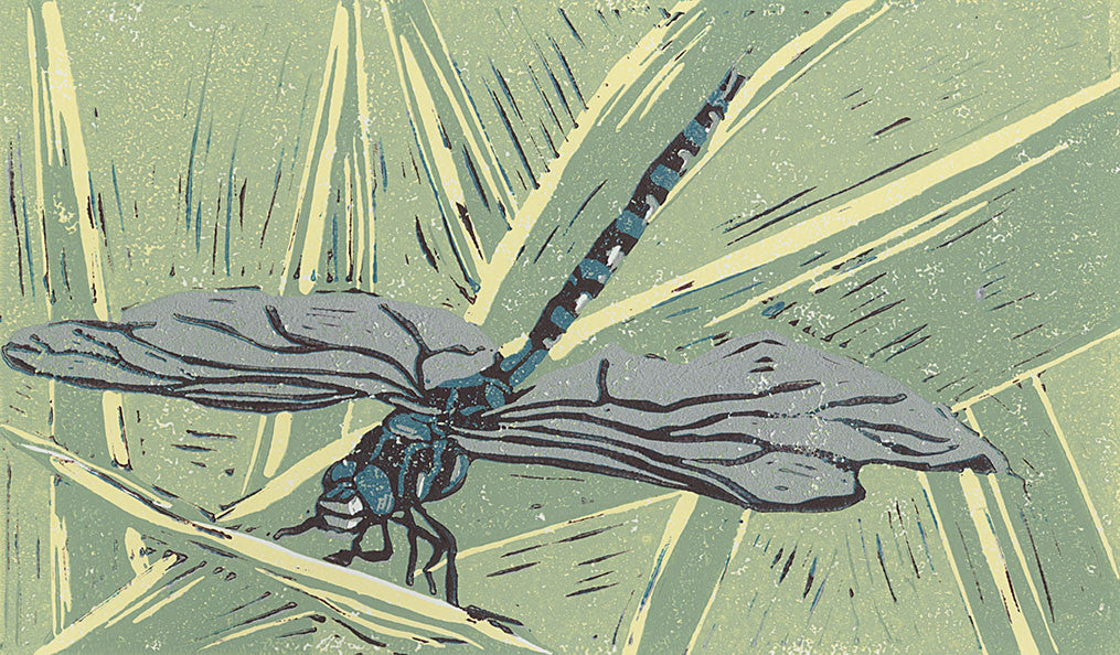 Dragonfly