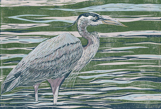 Great Blue Heron