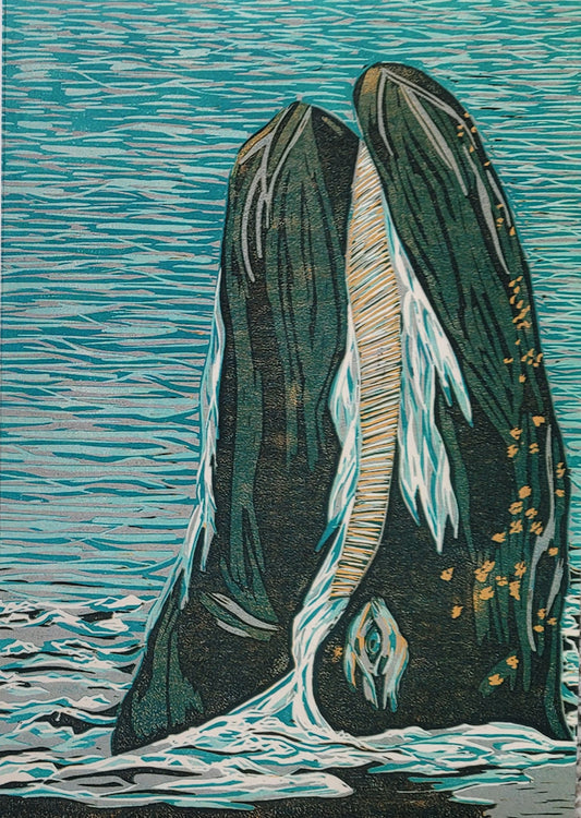 Grey Whale Spyhopping Art Card