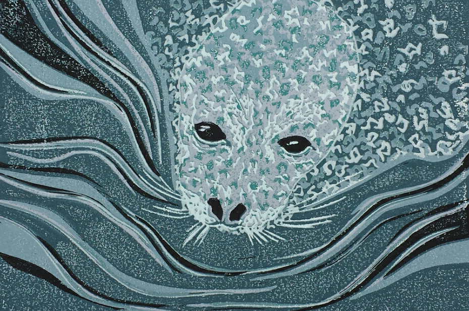 Harbour Seal