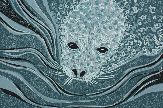 Harbour Seal