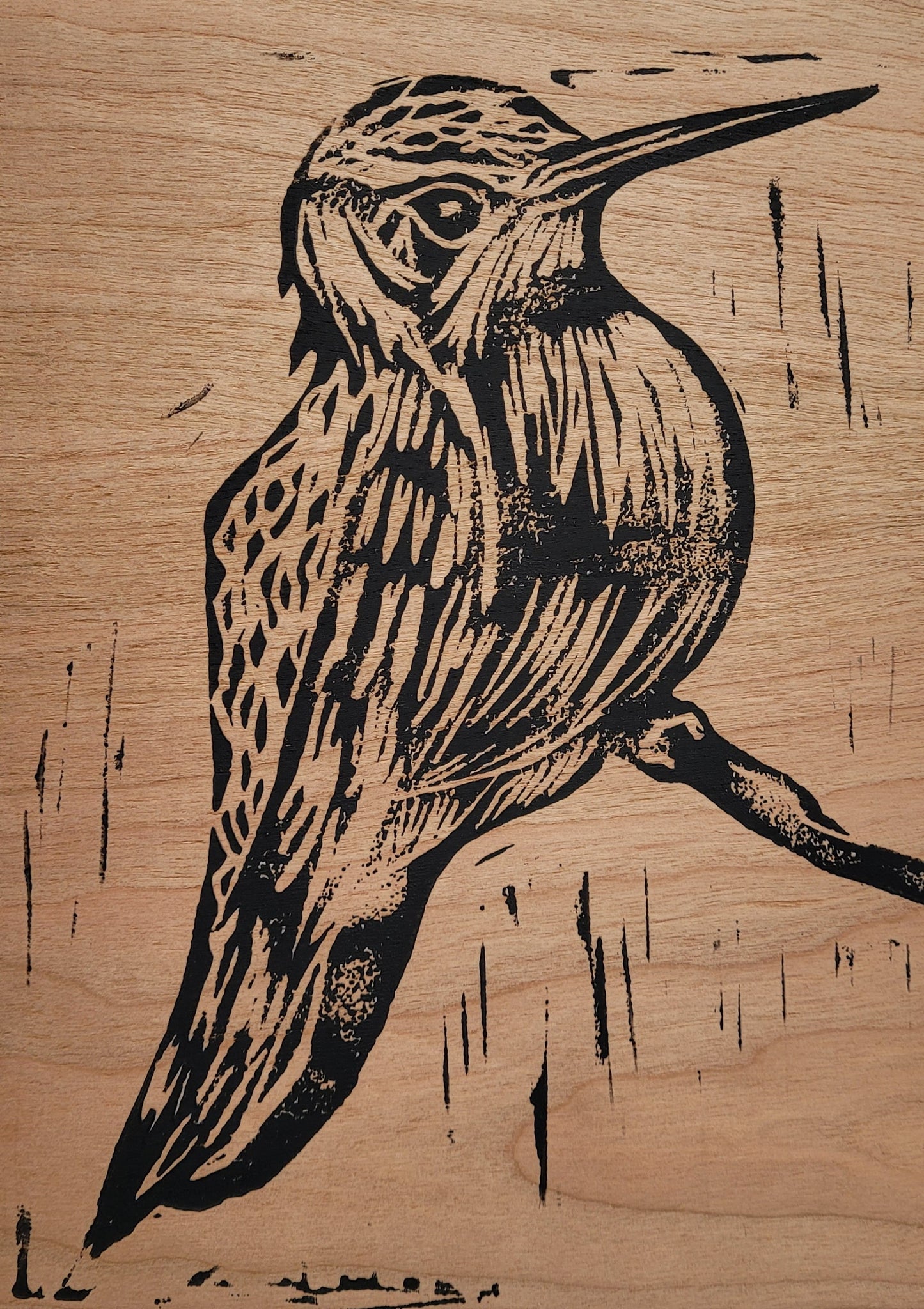 Hummingbird