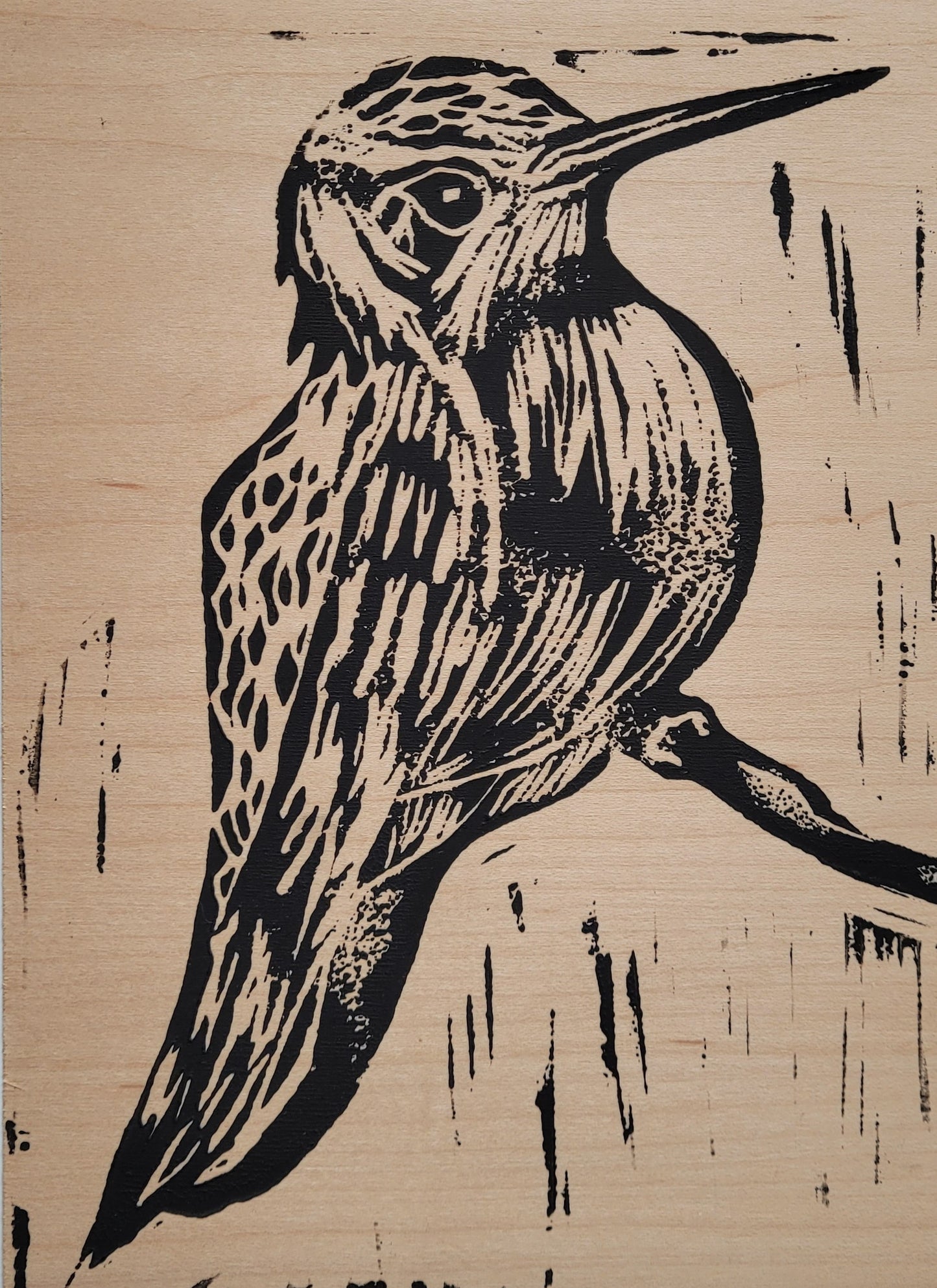Hummingbird