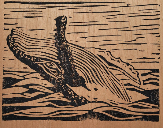 Humpback Whale