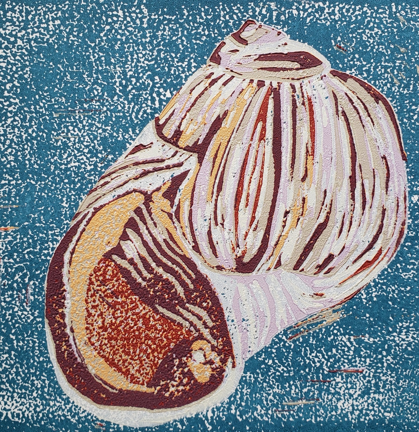 Moonsnail Inside and Out
