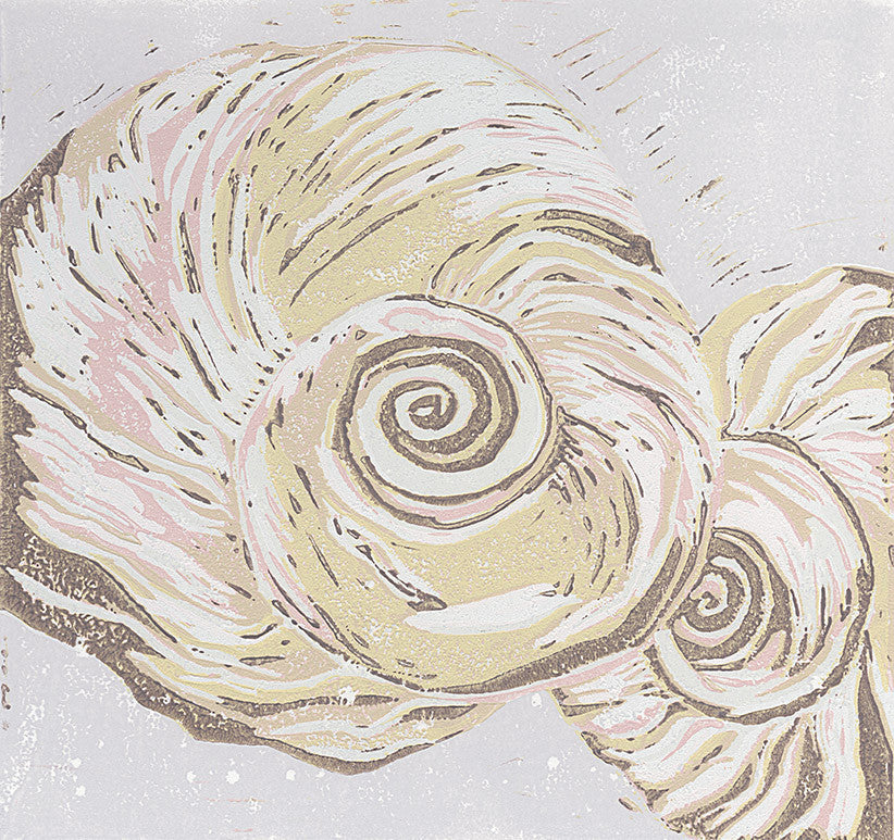 Moonsnail Shells