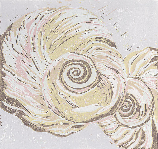Moonsnail Shells