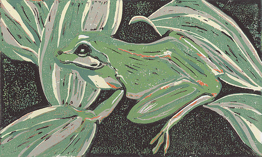 Northern Pacific Tree Frog