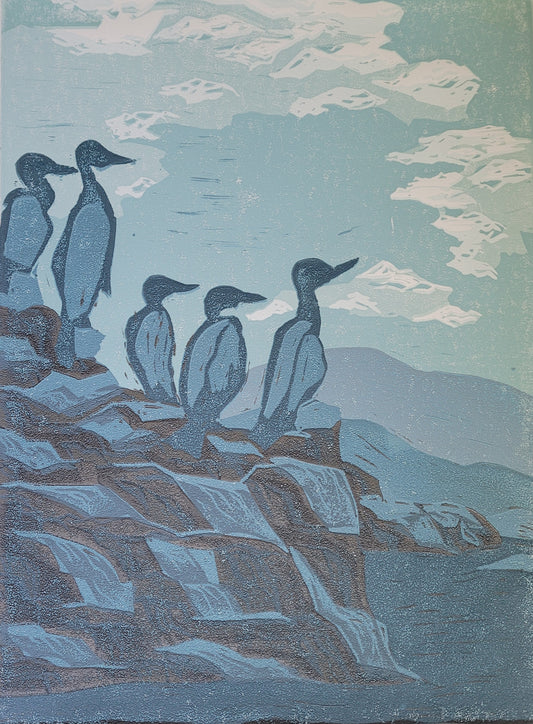 Pelagic Cormorants