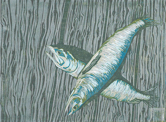 Pink Salmon on Pier