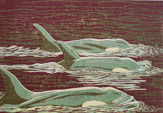 Pod of Orcas Art Card