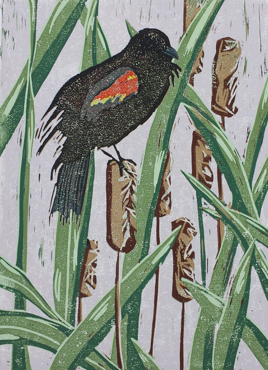 Red Winged Blackbird