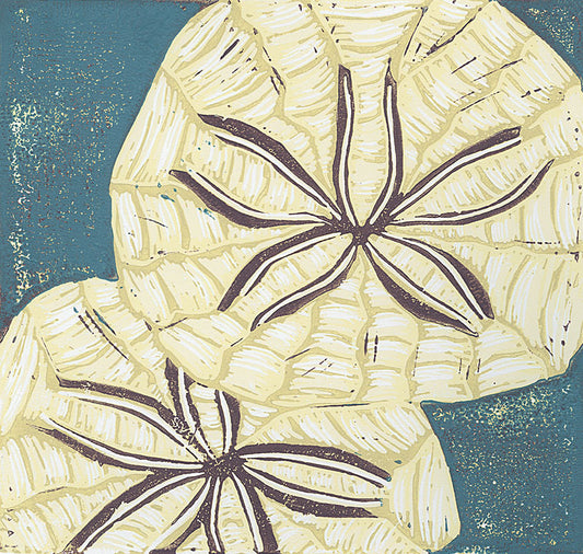 Sand Dollars