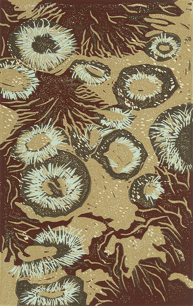 Sea Anemones and Seaweed