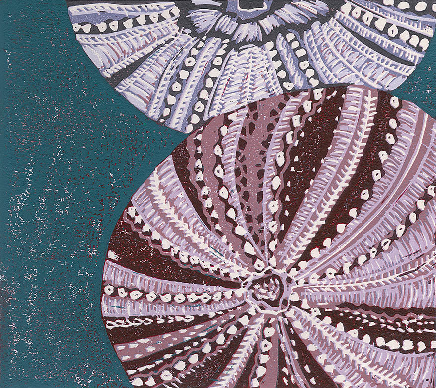 Sea Urchins