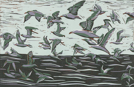 Seagulls in Flight