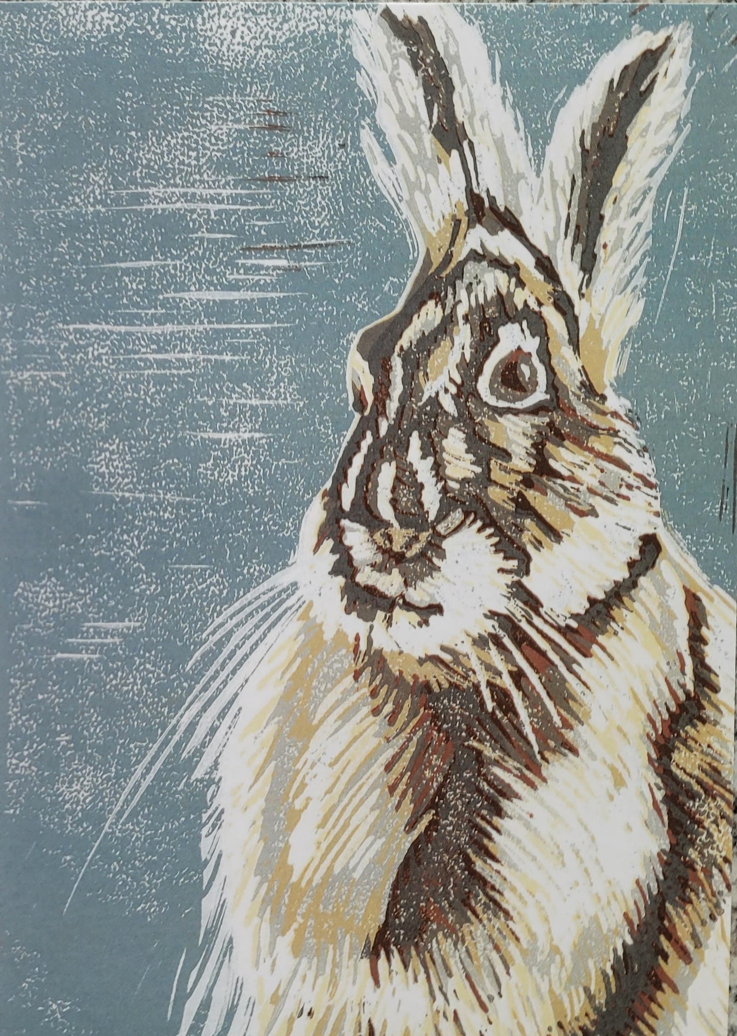 Animal Art Cards Pack of 5