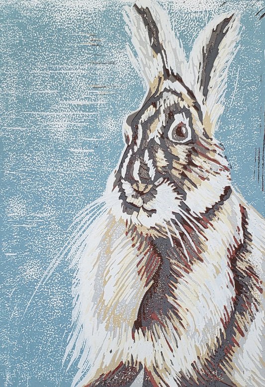 Snowshoe Hare