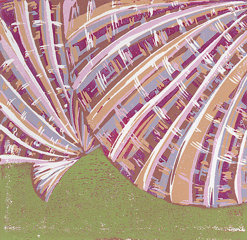 Spiny Pink Scallops
