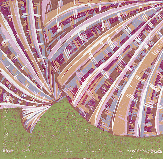Spiny Pink Scallops