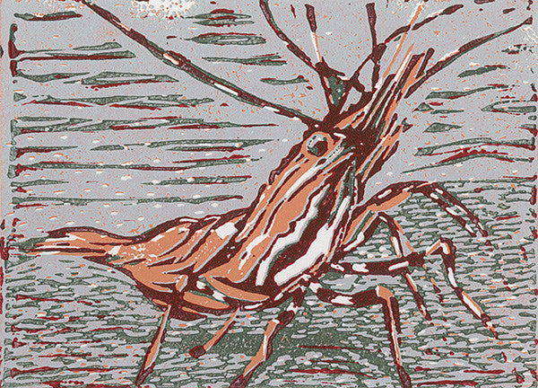 Spot Prawn