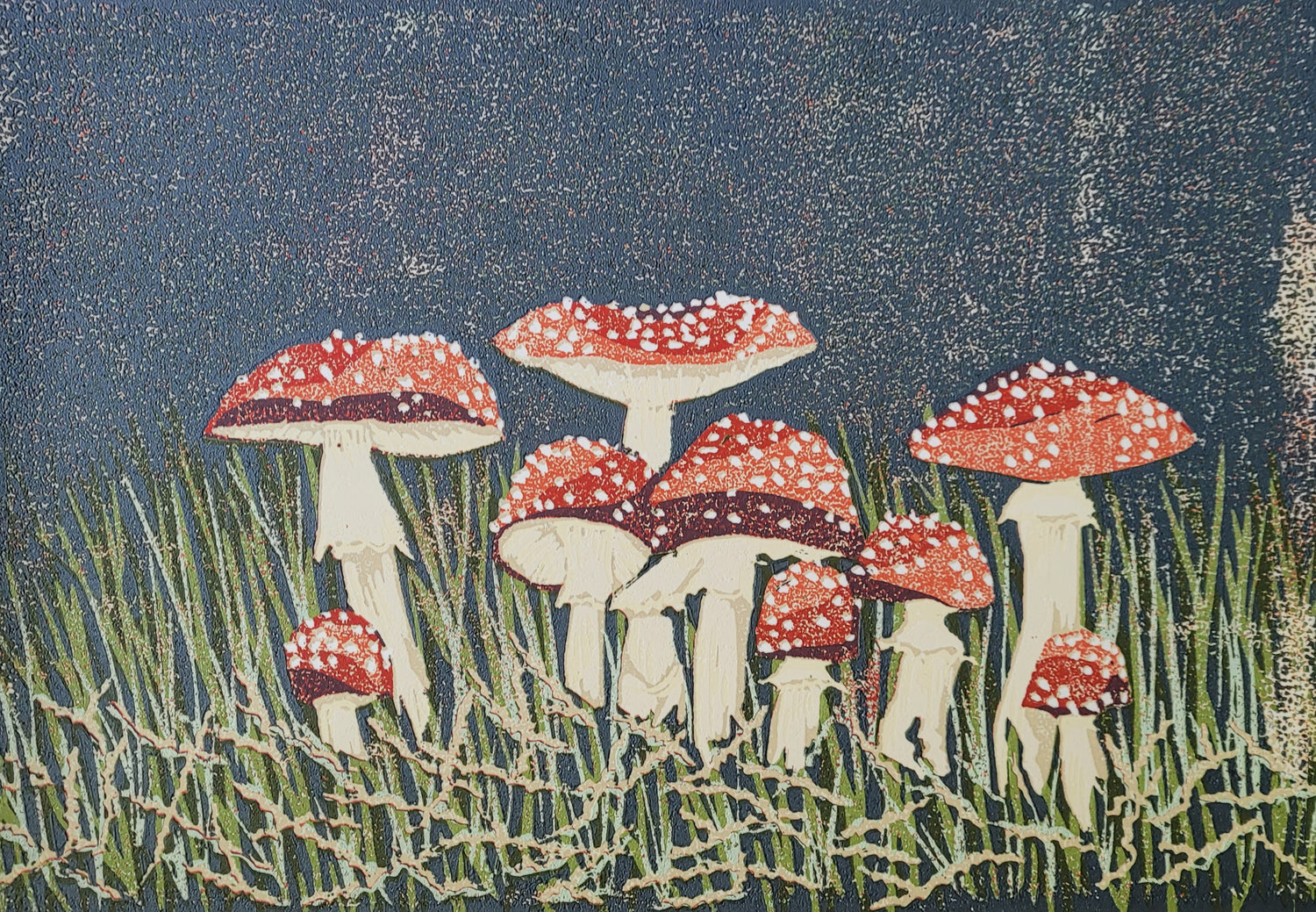 Fly Agaric Mushrooms or Amanita Muscaria