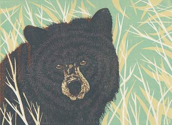 Black Bear