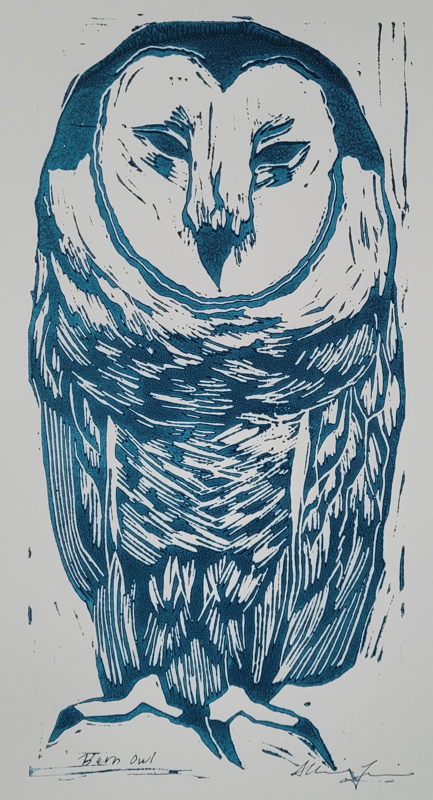 Barn Owl