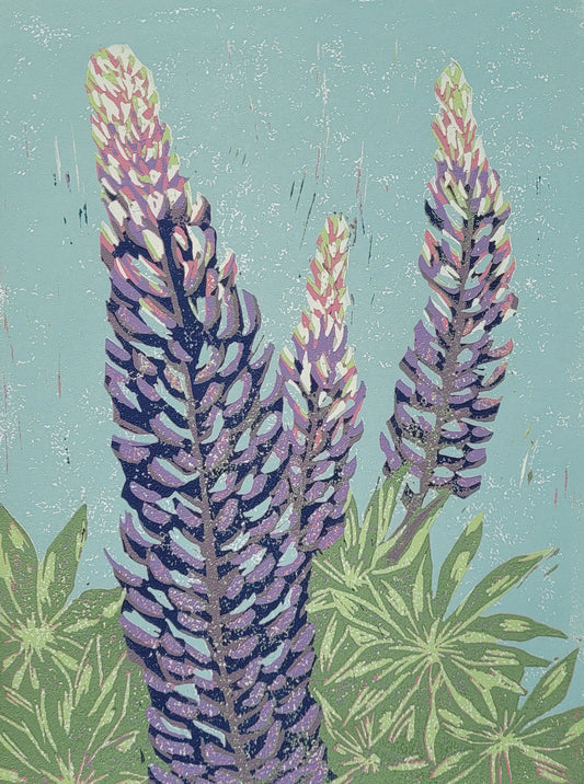 Lupines