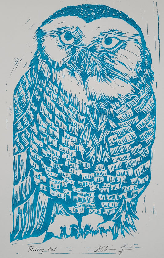 Snowy Owl