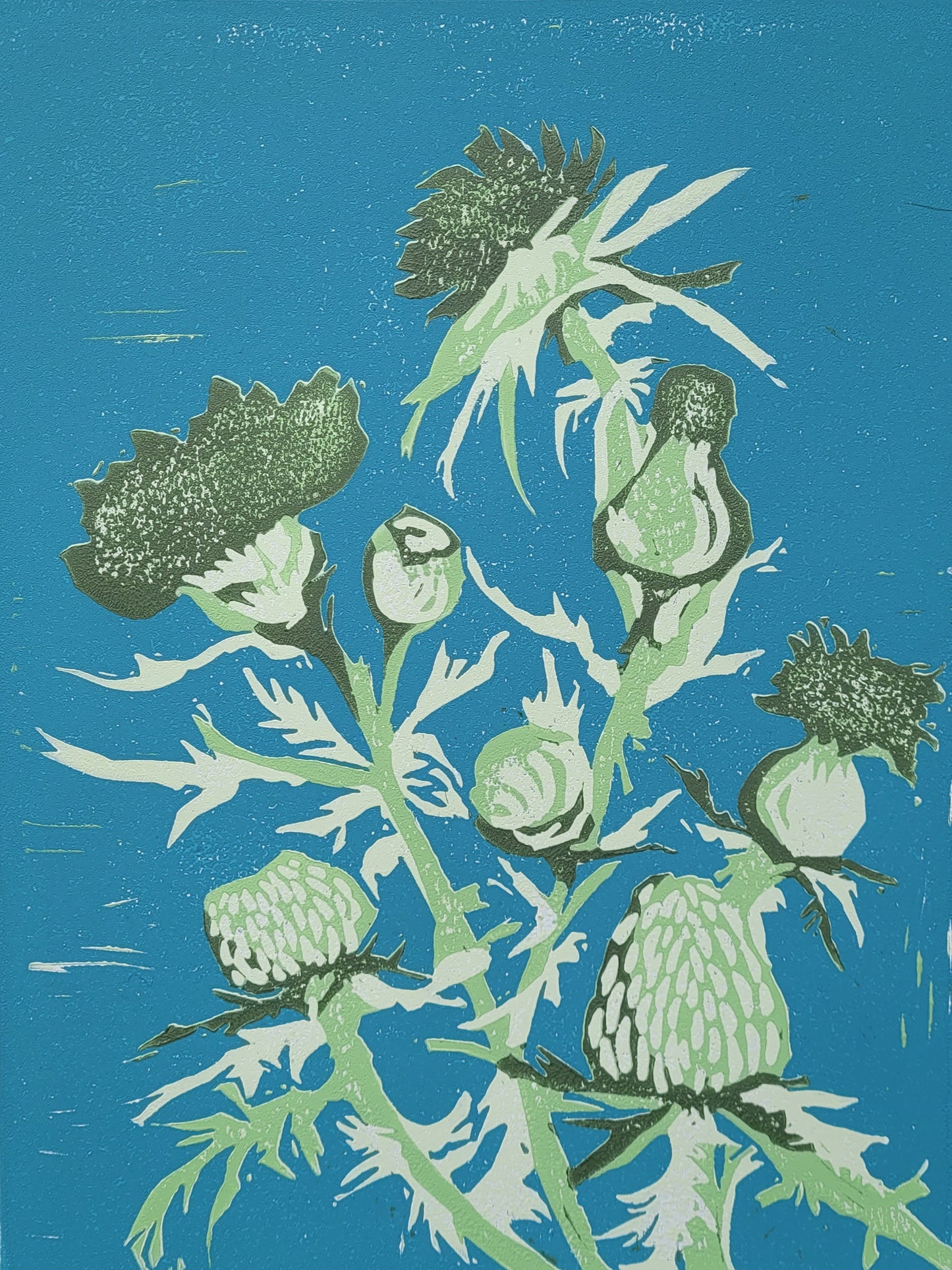 Thistle