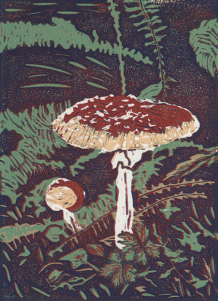 A Pair of Fly Agaric