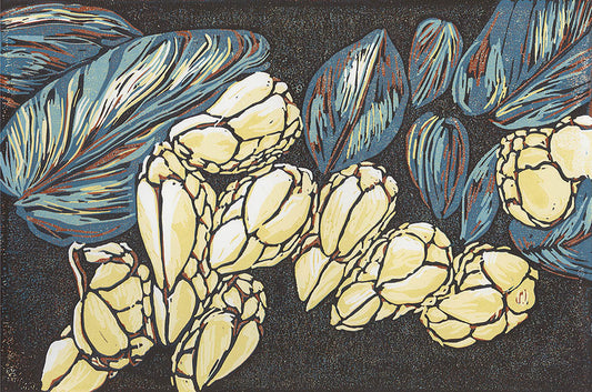 Gooseneck Barnacles and Mussels