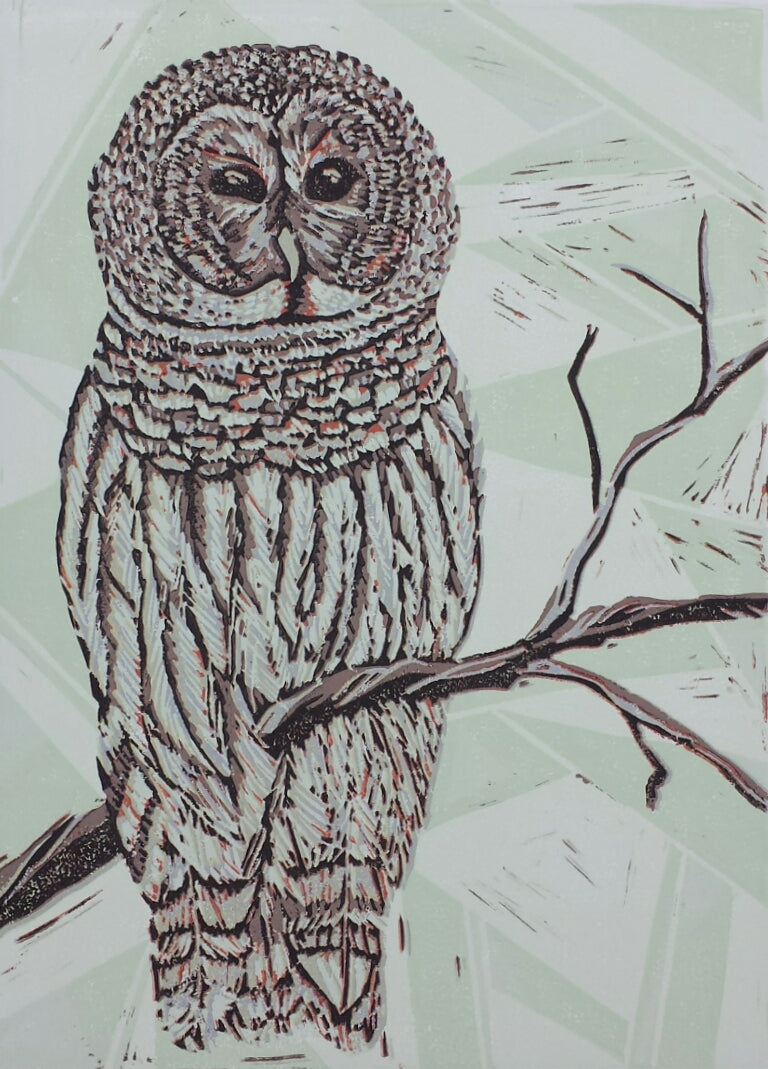 Barred Owl