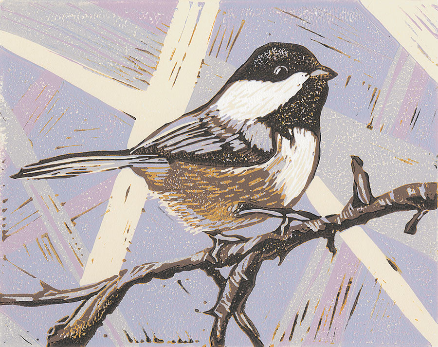 Black Capped Chickadee