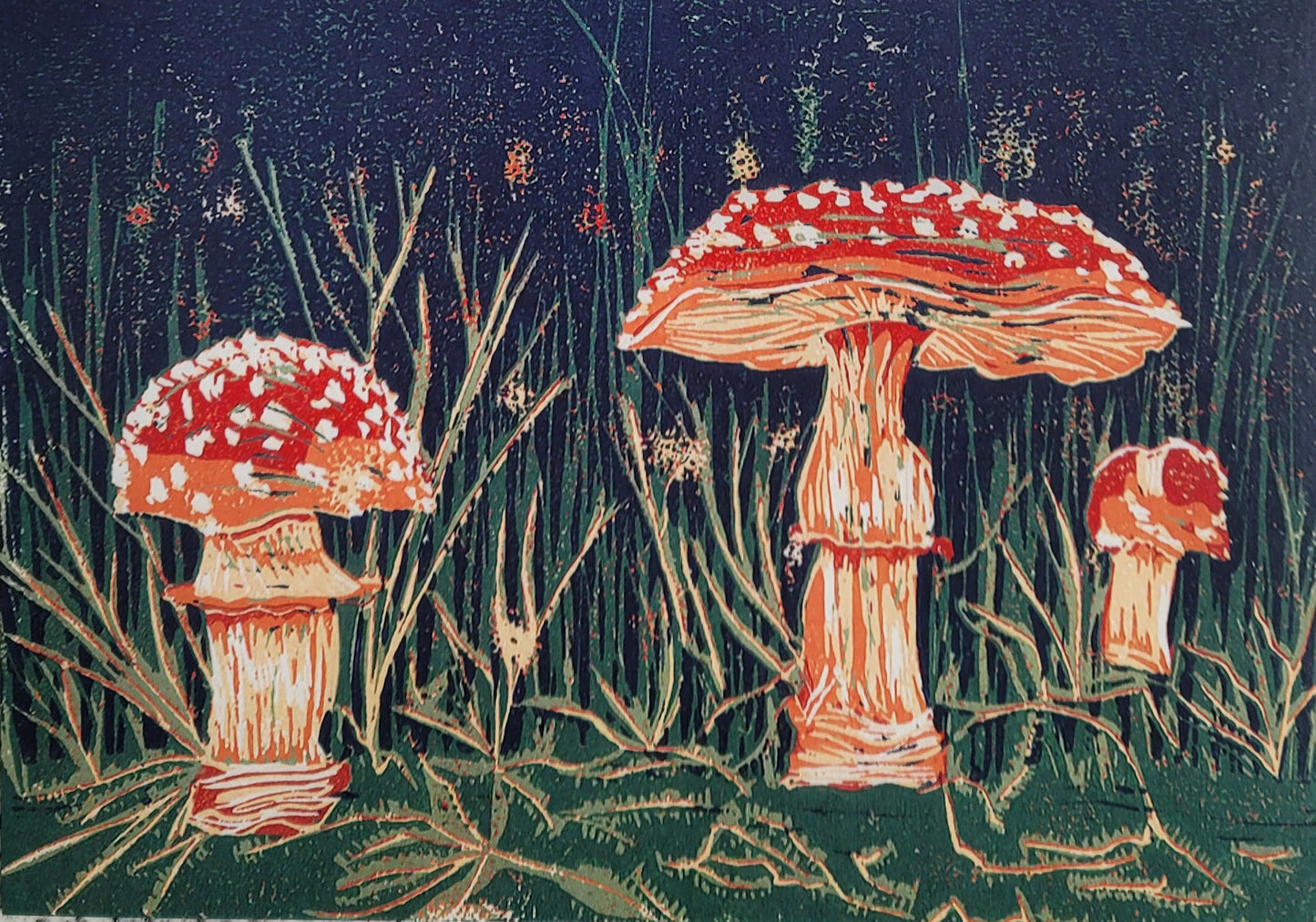 Mushrooms Fly Agaric Art Card