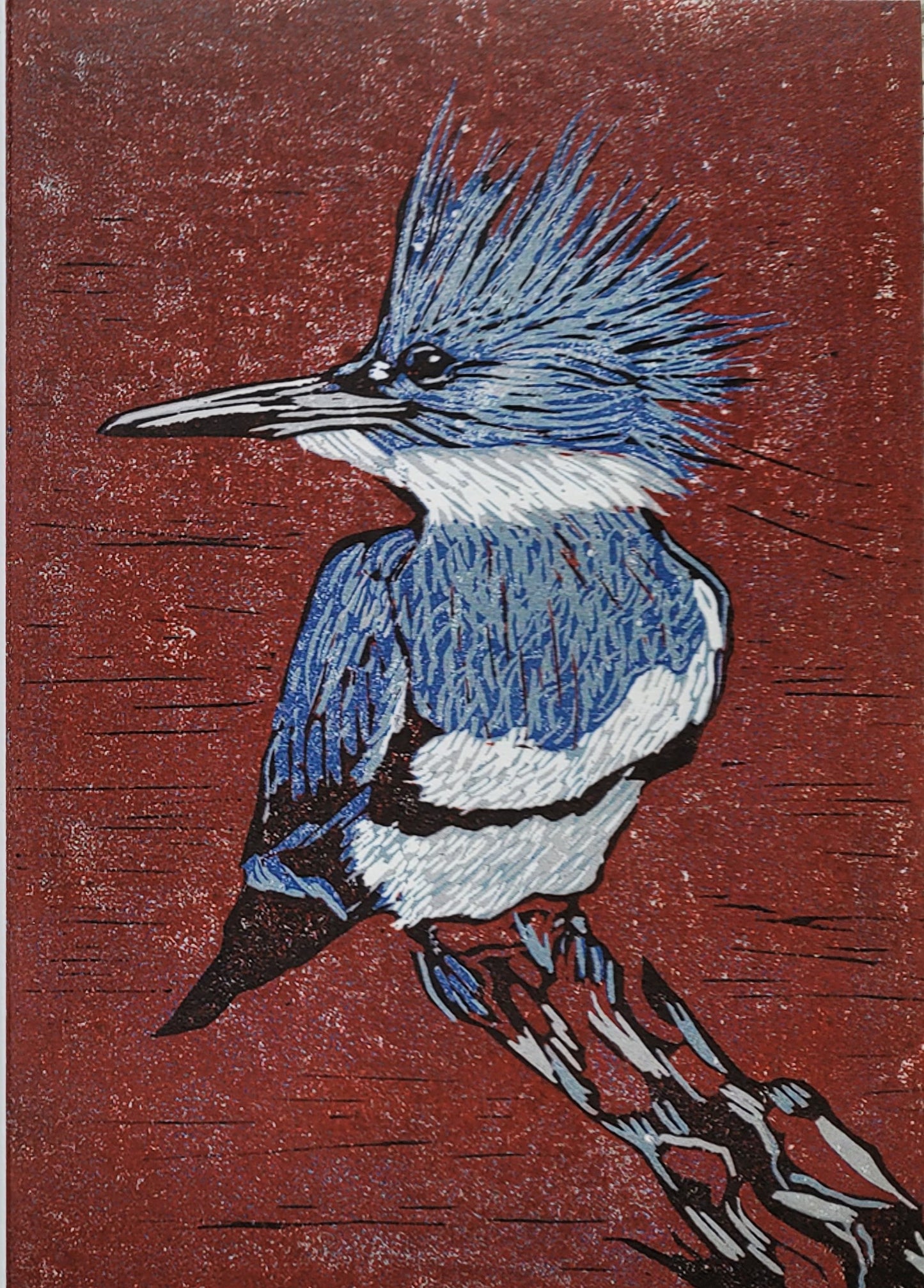 Bird Art Cards Pack of 5