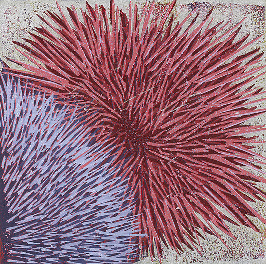 Sea Urchins
