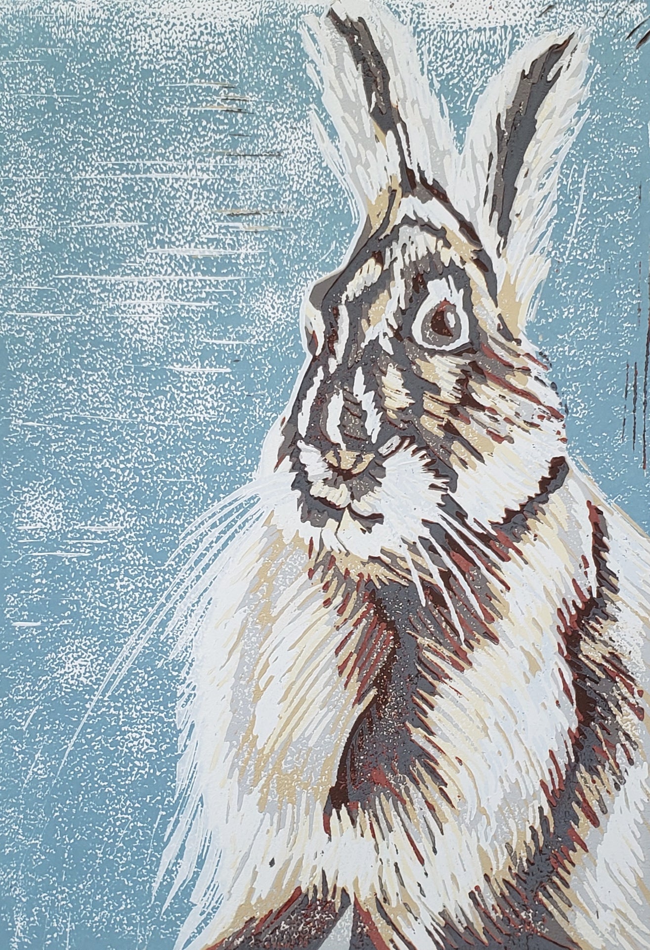 Snowshoe Hare