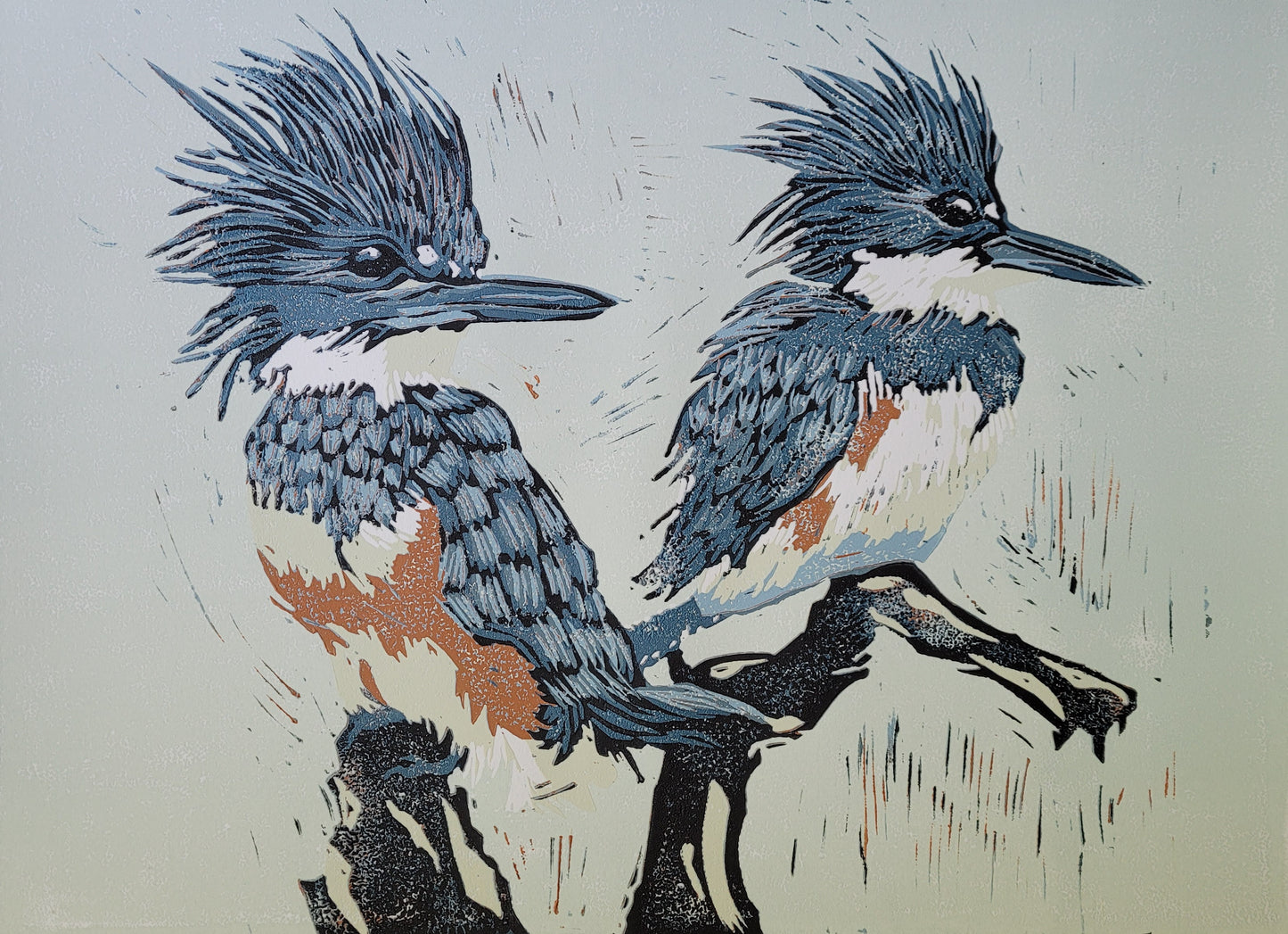 Two Kingfishers