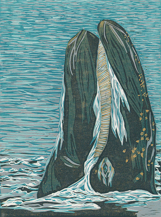 Grey Whale Spyhopping